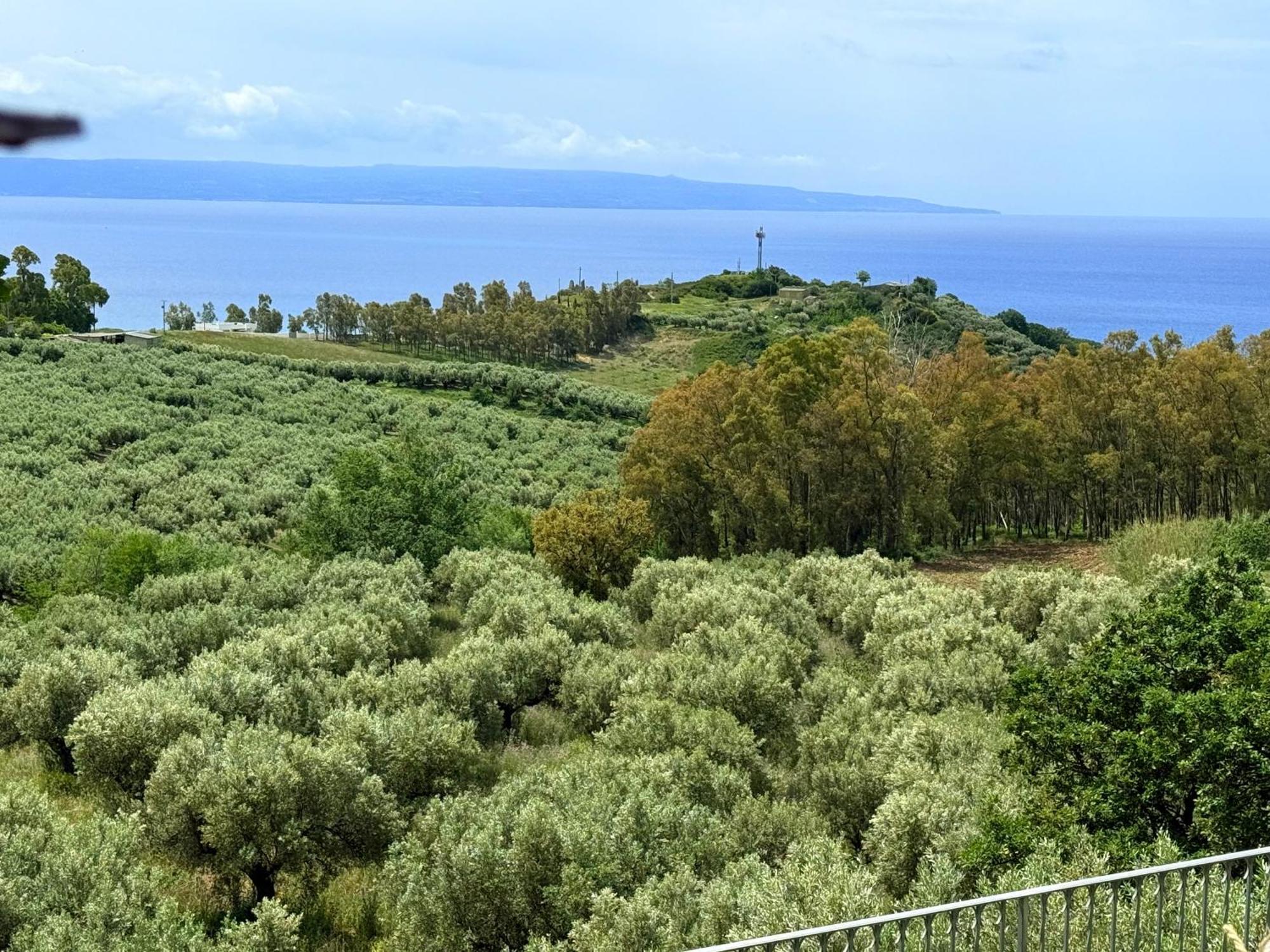 Bed and Breakfast Casale Calabria Gizzeria Exteriér fotografie